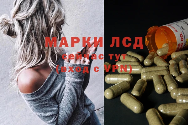 spice Армянск